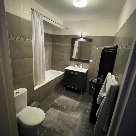 Appartement Beau 2 Pieces En Plein Centre De *
